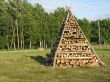 0623_Tuja_10.jpg