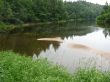 0623_Tuja_4.jpg