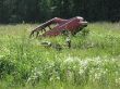 0625_Paatsalo_6.jpg