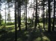0624_Paernu_39.jpg