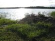 0624_Paernu_40.jpg