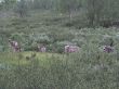 0712_Pampa_008.jpg