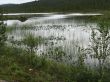0713_Inari_08.jpg