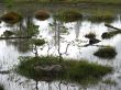 0713_Inari_09.jpg