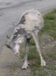 0714_Neiden_003.jpg