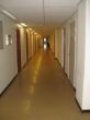 0801_Sjidö_027.JPG