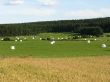 0804_Sandviken_066.JPG