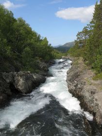 IMG_8291.JPG
