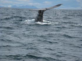 IMG_8607_small.jpg