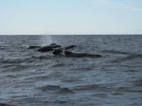IMG_8640_small.jpg