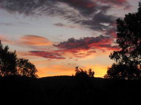 IMG_8804_small.jpg