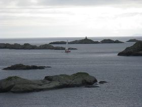 IMG_9342_small.jpg