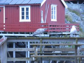 IMG_9627_small.jpg