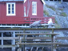 IMG_9629_small.jpg
